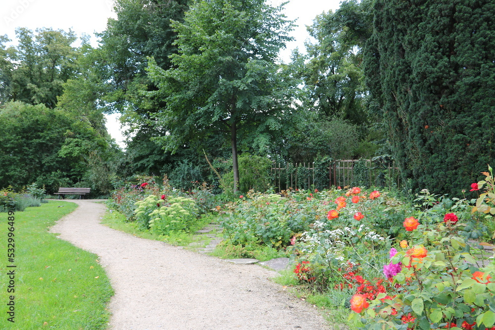 Sommer im Rosengarten Verden