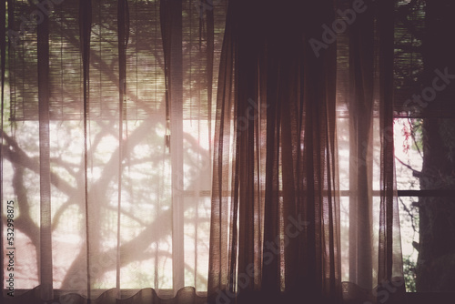木漏れ日が差し込むカーテン © kanzilyou