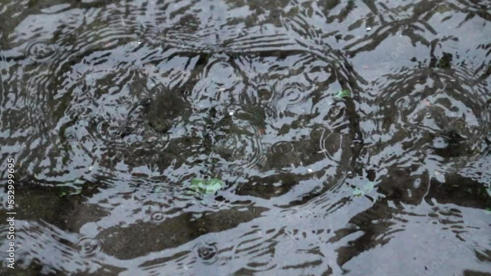 The raindrops falling into a large puddle, forming concentric circles on the surface of the water, slow motion The raindrops falling into a large puddle, forming concentric circles on the surface of the water, slow motion