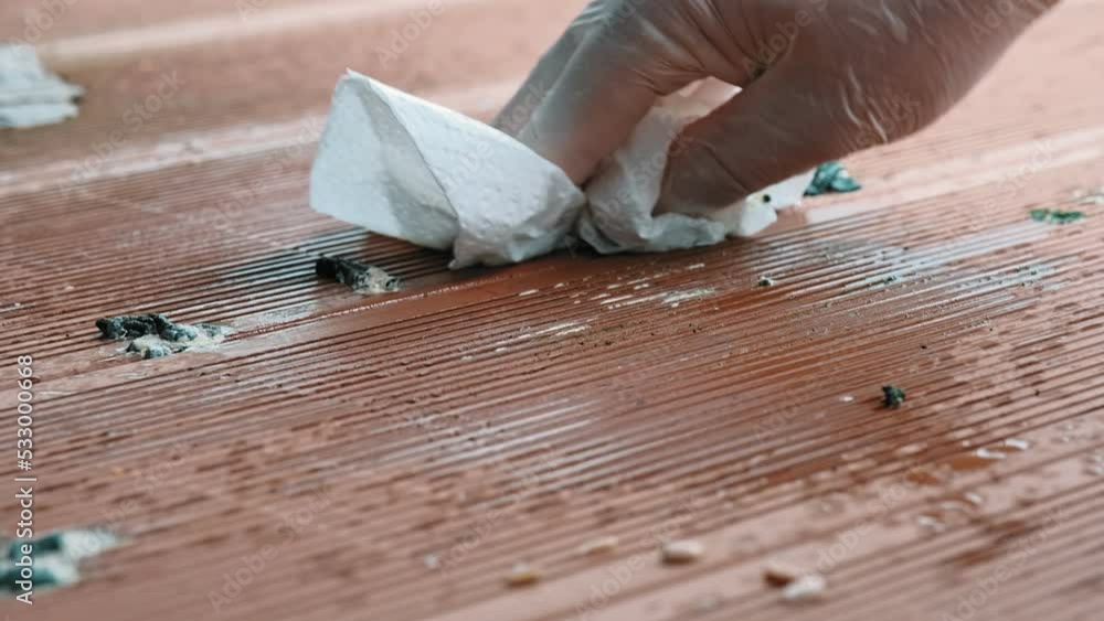 Person Wearing Protective Latex Gloves Cleaning Bird Poop Droppings