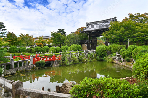 安珍清姫伝説の鐘で知られた京都市妙満寺の放生池
