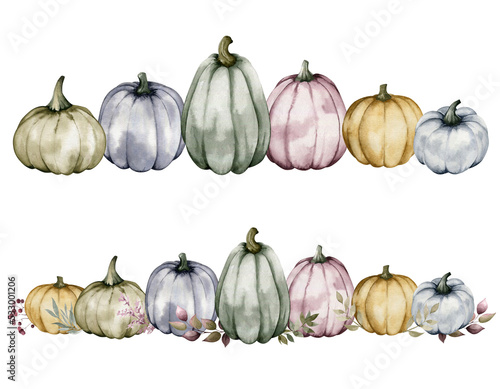 hand drawing set of pumpkins with or without plants, isolated on white background