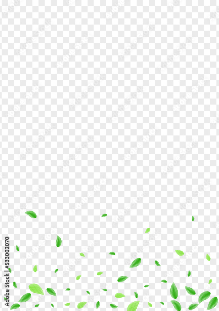 Green Sheet Background Transparent Vector. Greenery Label Design. Botanical Card. Light Green Cover Texture. Leaves Growing. Green Sheet Background Transparent Vector. Greenery Label Design. Botanical Card. Light Green Cover Texture. Leaves Growing.