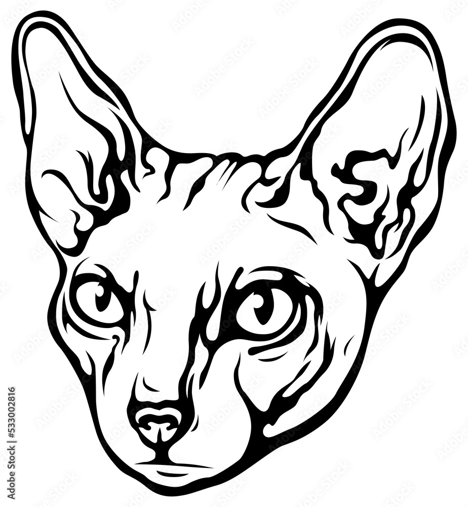 Obraz premium Png cat isolated illustration. Black color on white background image.