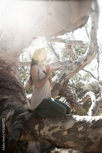 Young Woman Illuminated By The Sun Meditating On A Tree photo