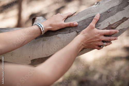 A woman’s hands connecting consciously, listening through touch, the nature of a Eucalyptus Tree. 