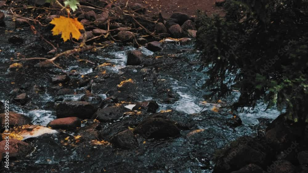 Rocky Stream Creek Cascade on Moody Autumn Day Slow Motion Rocky Stream Creek Cascade on Moody Autumn Day Slow Motion