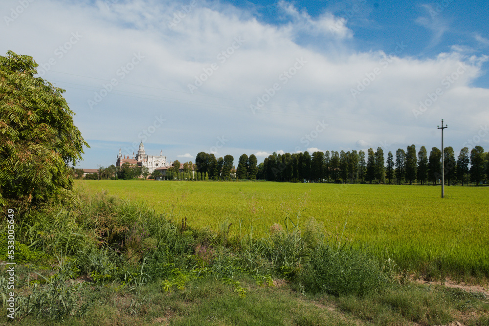 Certosa di Pavia e campo coltivato