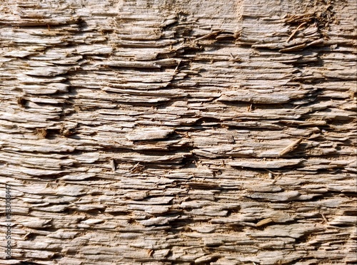Wooden textured background. Close-up of the board.