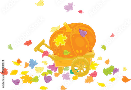 Large orange pumpkin on an ...