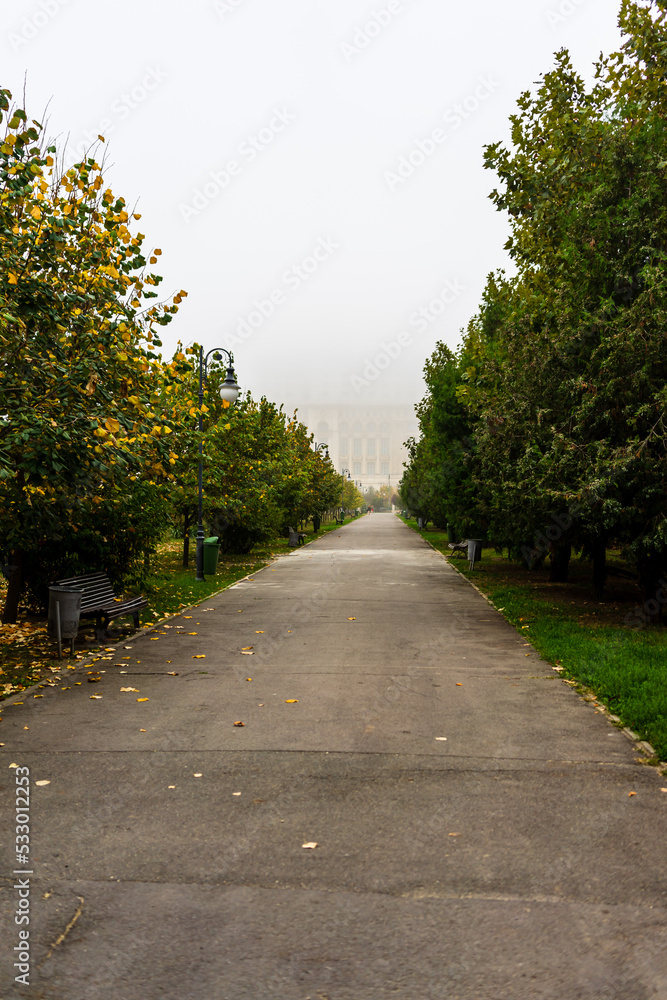 Autumn scenery with alley of fall leaves