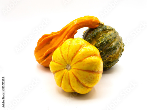 Schilderij op canvas Still Life of decorative autumn gourds and mini pumpkin isolated on white