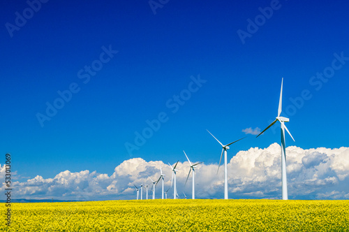 Wind Turbines and Canola Field