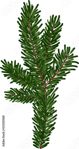 Hand drawn illustration of forest fir branch. Christmas tree. Botanical clipart for card making. © LuckPicture