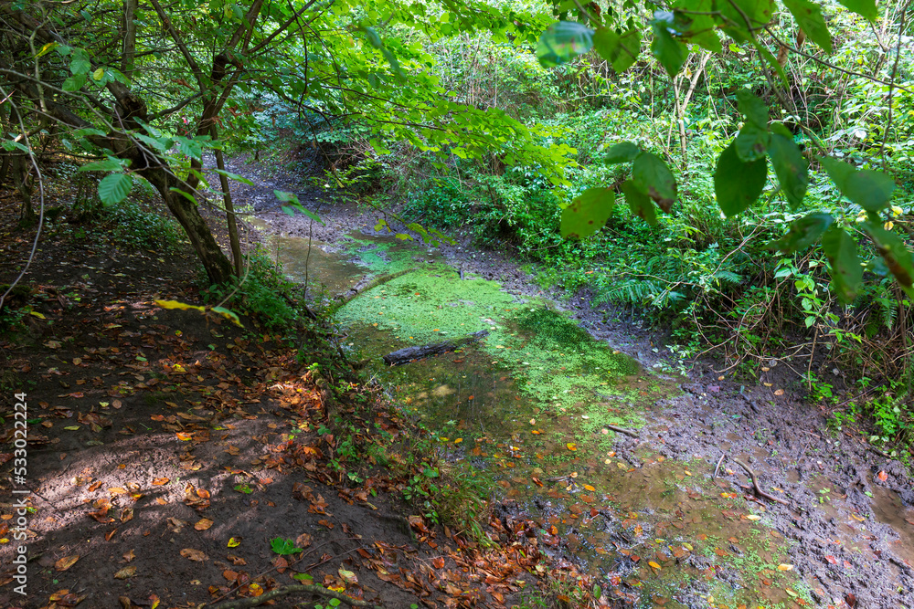 Obraz premium Beautiful autumn Nature in the sandstone Landscape from the central Bohemia, Dolni Zimor, Czech Republic 