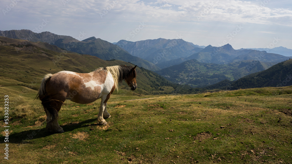 Landscape at Pyrenees, France