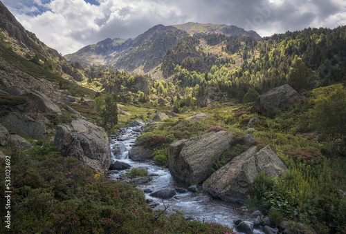 Fototapeta Naklejka Na Ścianę i Meble -  Creek at Incles Valley in Andorra