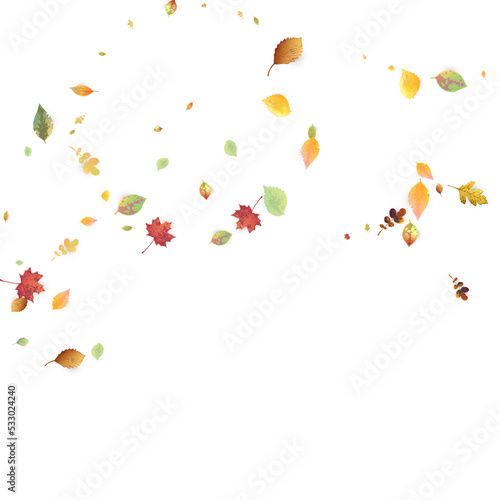 Leaves Falling Autumn Foliage Chaotic Leaf Flying