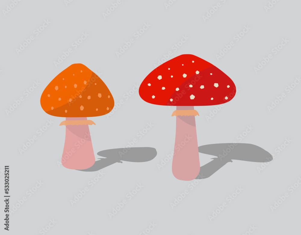 Mushrooms with dots, mushroom with shadow, fungus amanita muscaria, orange cap fungi Mushrooms with dots, mushroom with shadow, fungus amanita muscaria, orange cap fungi