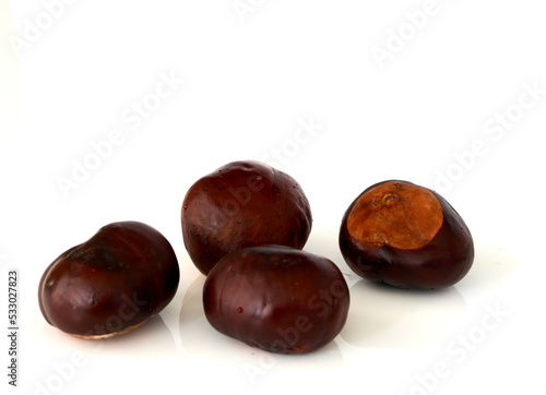 chestnut fruits lie on a white background, farm harvest