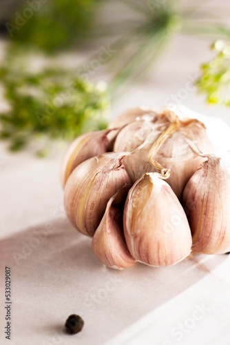 garlic close-up  spices and seasonings 