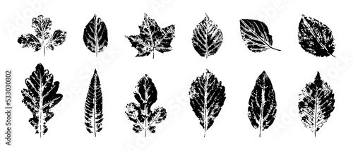 Black prints of leaves silhouette set. Natural contour drawing of oak maple and birch foliage. Ornate lines abstract tracery forest vector art