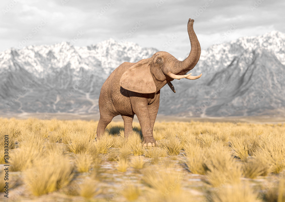 Fototapeta premium african elephant is doing a happy walk in plains and mountains