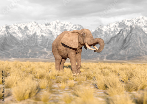 african elephant is eating in plains and mountains side view with copy space © DM7