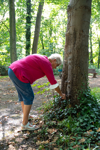 An elderly woman tends a tree in a garden