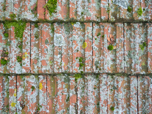Weathered roof tiles