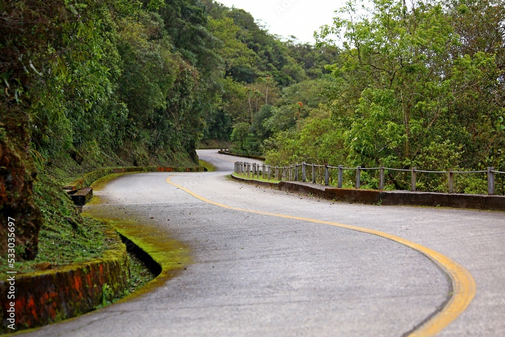Curves in the historic road that crosses the Atlantic Forest. Tourism on the Caminho do Mar, an ancient path linking the coast to the interior of Brazil. Green trees, lichens in the gutters, fresh air