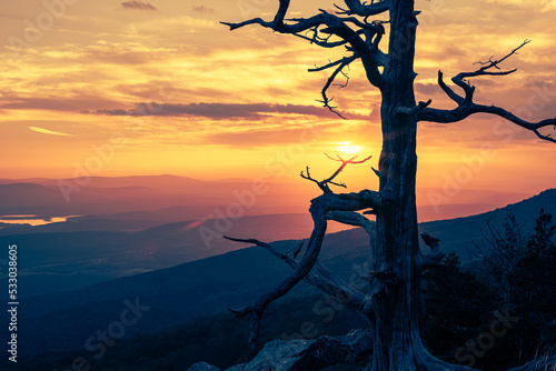 Ozark Mountains sunset  vista view with a valley river and colorful cloudy sky with a silhouetted tress in the foreground. 