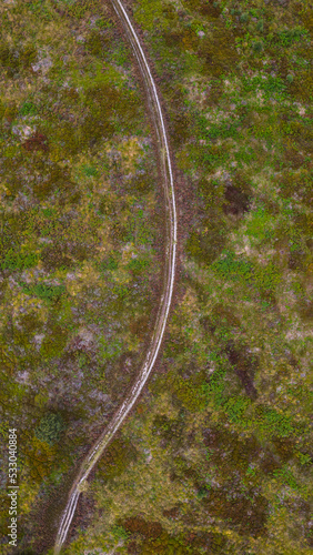 Path in forest