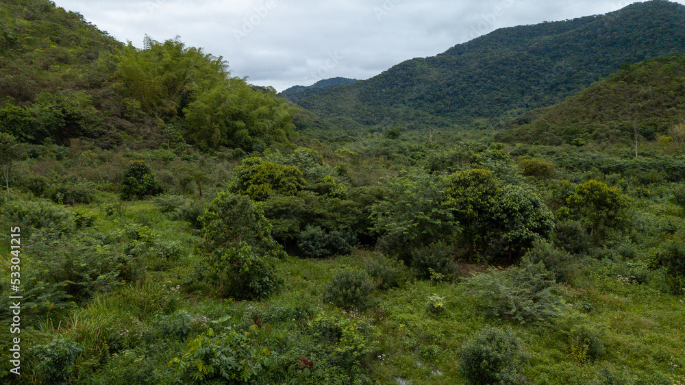 Rural area destined for restoration of native forest in the municipality of Casimiro de Abreu, Rio de Janeiro. 