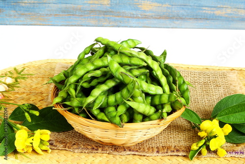 garden fresh whole green pigeon peas beans pod in basket also known in india as tuvar,congo beans,gungo beans,top view photo