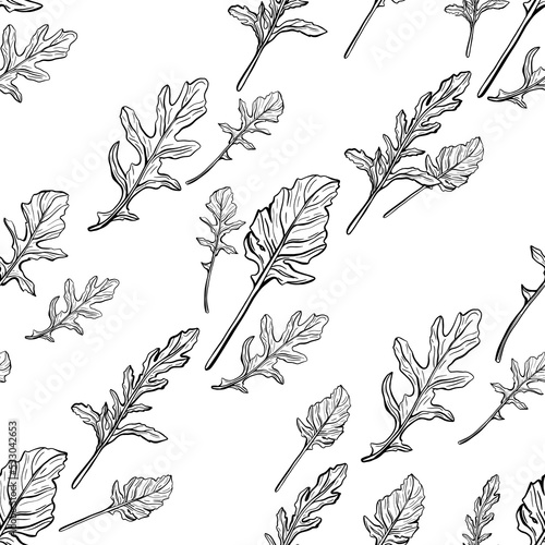 seamless pattern of Arugula leaves. Spicy and aromatic Italian seasoning