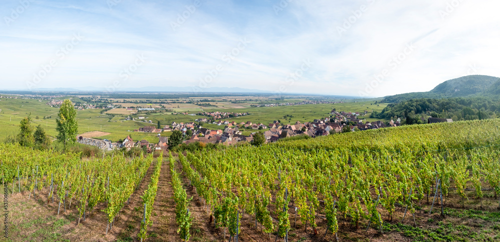 scenic view to Gueberschwihr and vineyards in the Alsace region