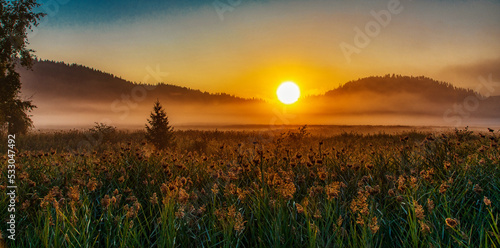 Sunrise over the lake with reeds_2