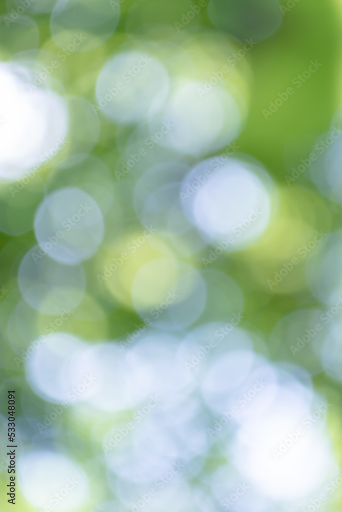 Fototapeta premium Vertical abstraction from bokeh on green background