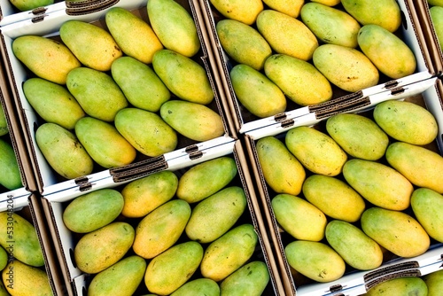 The king of fruits is mango