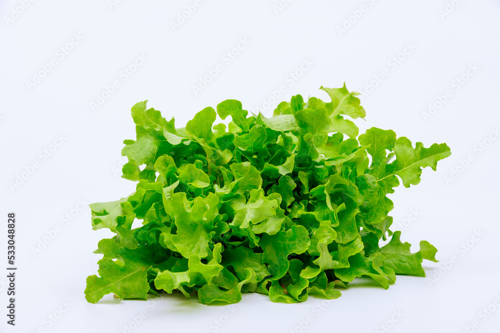 Obraz premium Curly lettuce on a white background. Green salads.