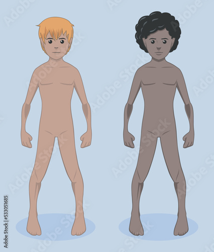 2 modelos vetor