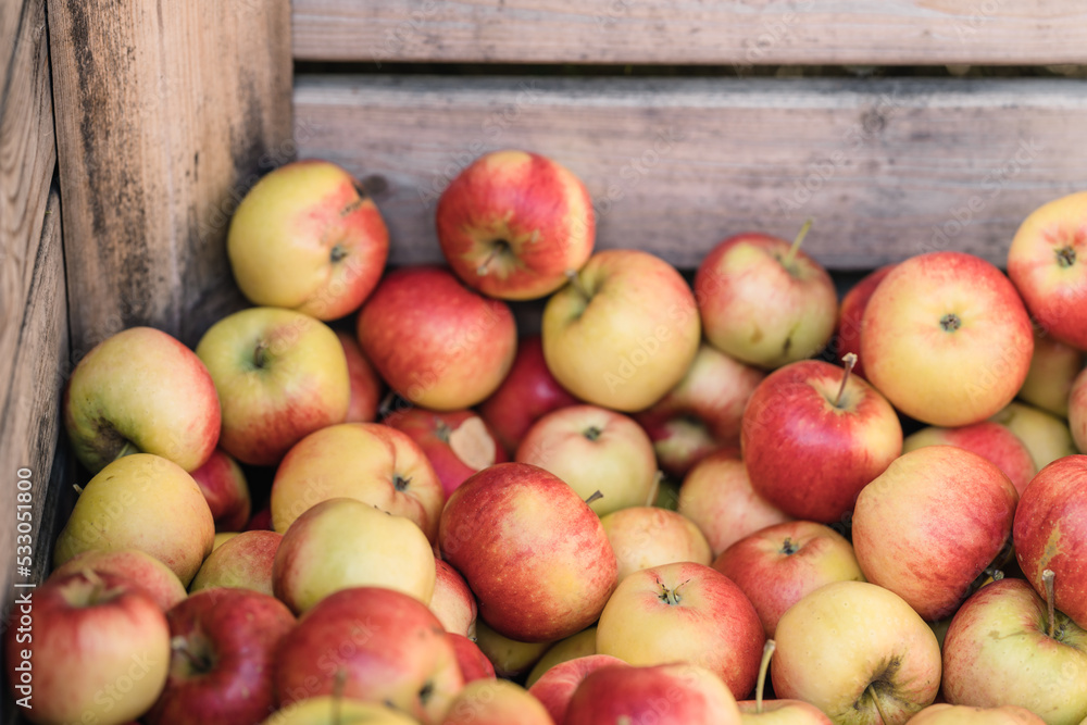 Ταπετσαρία Freshly picked red apples in a wooden crate. Selective focus.