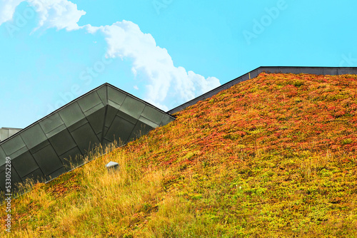 Modern eco-friendly house, green roof. Environmentally friendly roof in a residential area