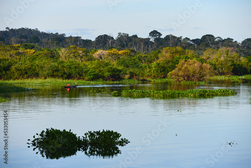 A young boy on a fishing canoe on the Igarapé da Coca, surrounded by lush rainforest, near the Guaporé-Itenez river, in the Terra Indígena Sagarana, or Sagarana Indigenous Land, Rondonia, Brazil photo