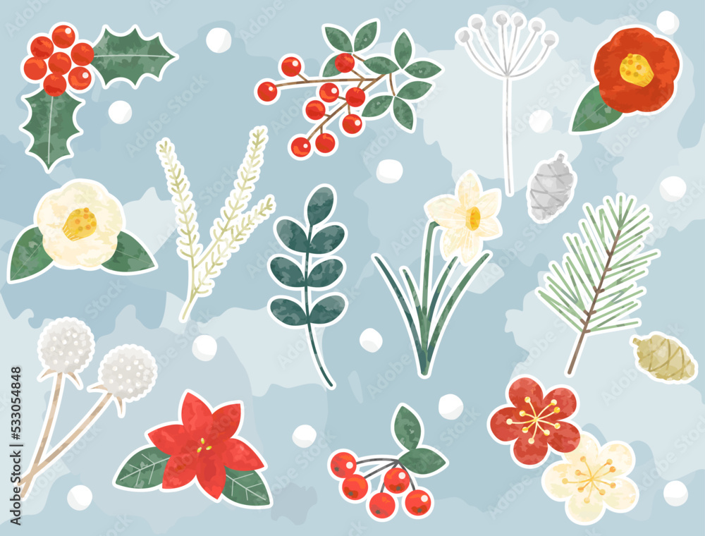 冬の植物をイメージしたイラストのセット 白フチ付きバージョン
