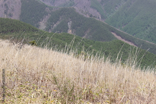 Mountain field