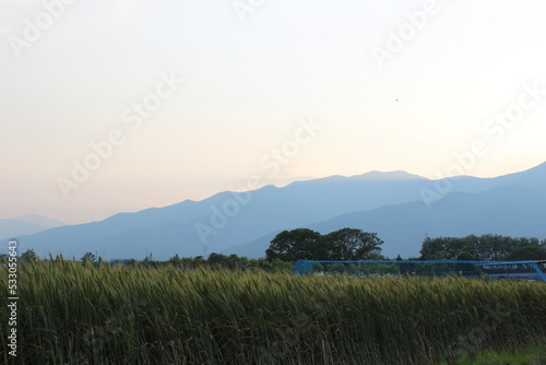 Fields and mountains in spring