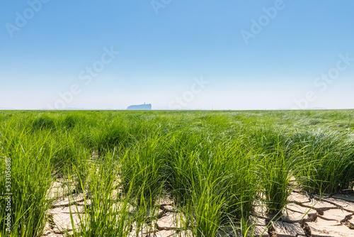 landscape of Poyang lake in drought photo