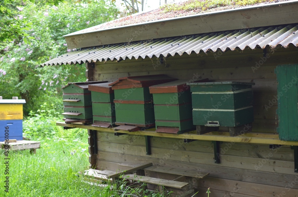 Group of different wooden beehives at outdoor apiary Group of different wooden beehives at outdoor apiary